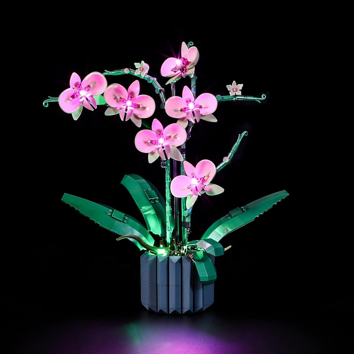 LIGHTAILING Led Light Compatible with Lego-10311 Orchid（Only Light,No Model |