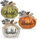 DILATATA Fall Pumpkins Decoration 3Pcs Resin Pumpkins Thanksgiving Fake Pumpkin Figurines Small Carved Pumpkin for Home Harvest Halloween Thanksgiving Rustic Farmhouse Table Centerpiece Shelf Mantel